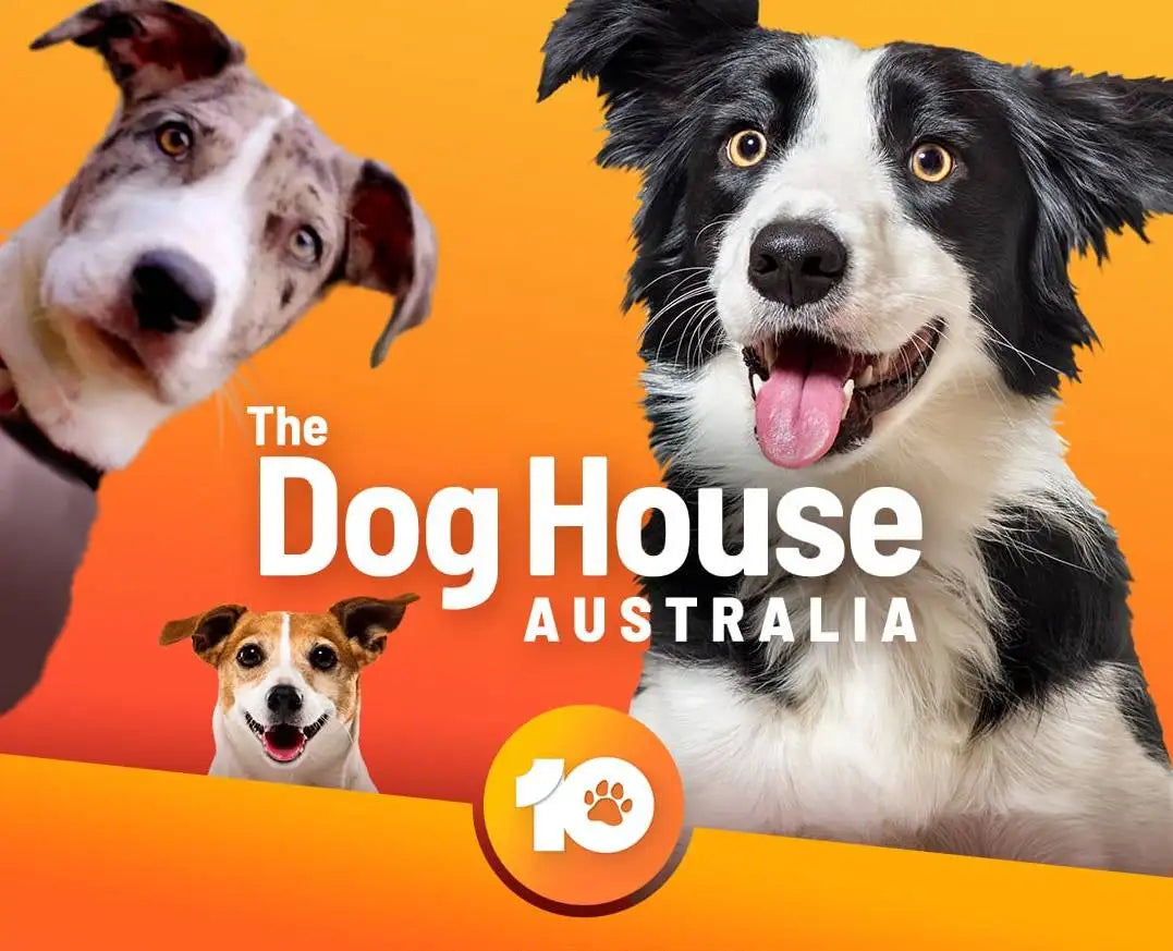 The dog house australia logo, featuring bold white text on a vibrant orange background with three smiling dogs and the channel 10 paw print emblem.