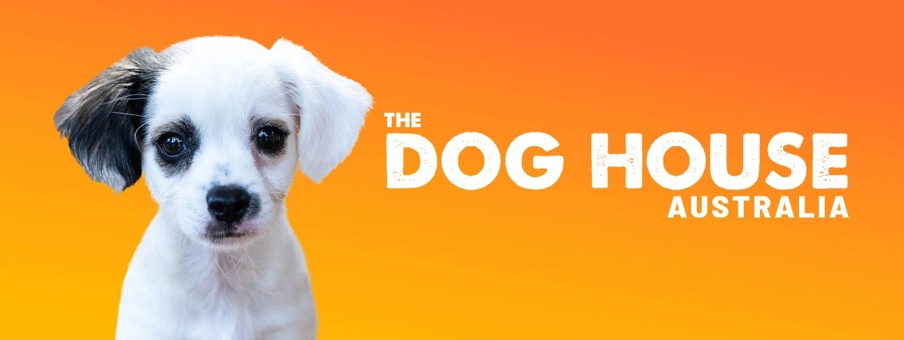 Small white dog on an orange background with 'The Dog House Australia' text.